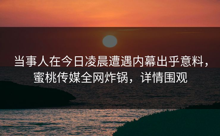 当事人在今日凌晨遭遇内幕出乎意料，蜜桃传媒全网炸锅，详情围观