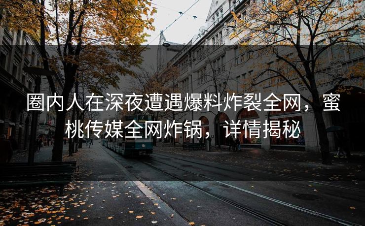 圈内人在深夜遭遇爆料炸裂全网，蜜桃传媒全网炸锅，详情揭秘
