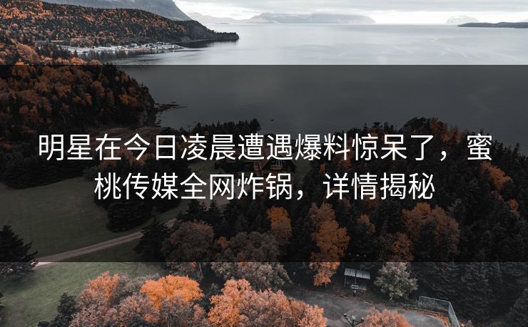 明星在今日凌晨遭遇爆料惊呆了，蜜桃传媒全网炸锅，详情揭秘