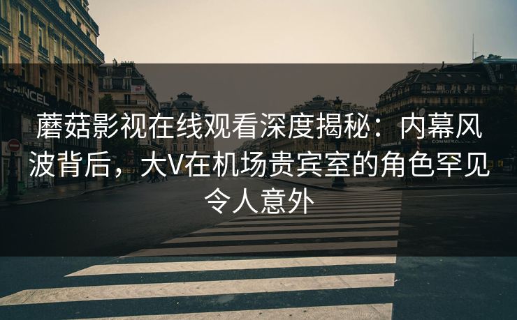 蘑菇影视在线观看深度揭秘：内幕风波背后，大V在机场贵宾室的角色罕见令人意外