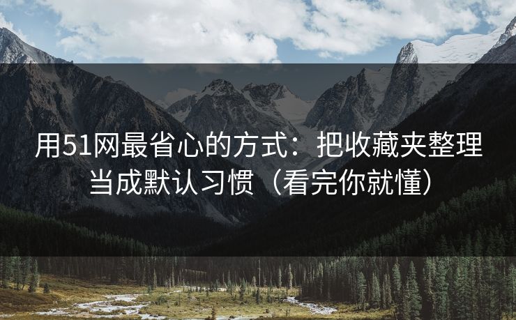 用51网最省心的方式：把收藏夹整理当成默认习惯（看完你就懂）